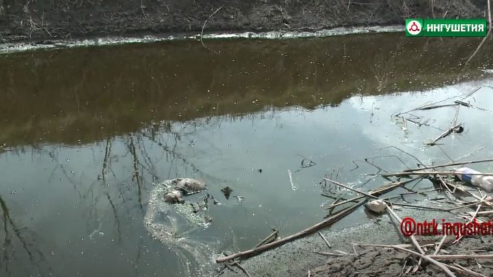 Выявление нарушений в водоохранной зоне Алханчуртского канала